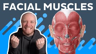 Learn the facial muscles in 5 minutes with this fun mnemonic | Kenhub