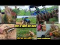 हमारे खेत मे आए नए मेहमान|फसल कटने से पहले खेत में😥ट्रैक्टर क्यों चला |गांव केRoom का किया makeover