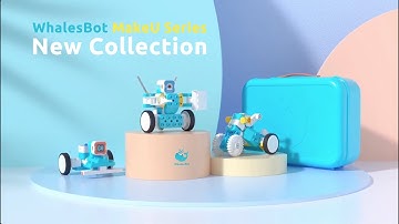 Discover the MakeU Series by WhalesBot: Where Creativity Meets Coding!