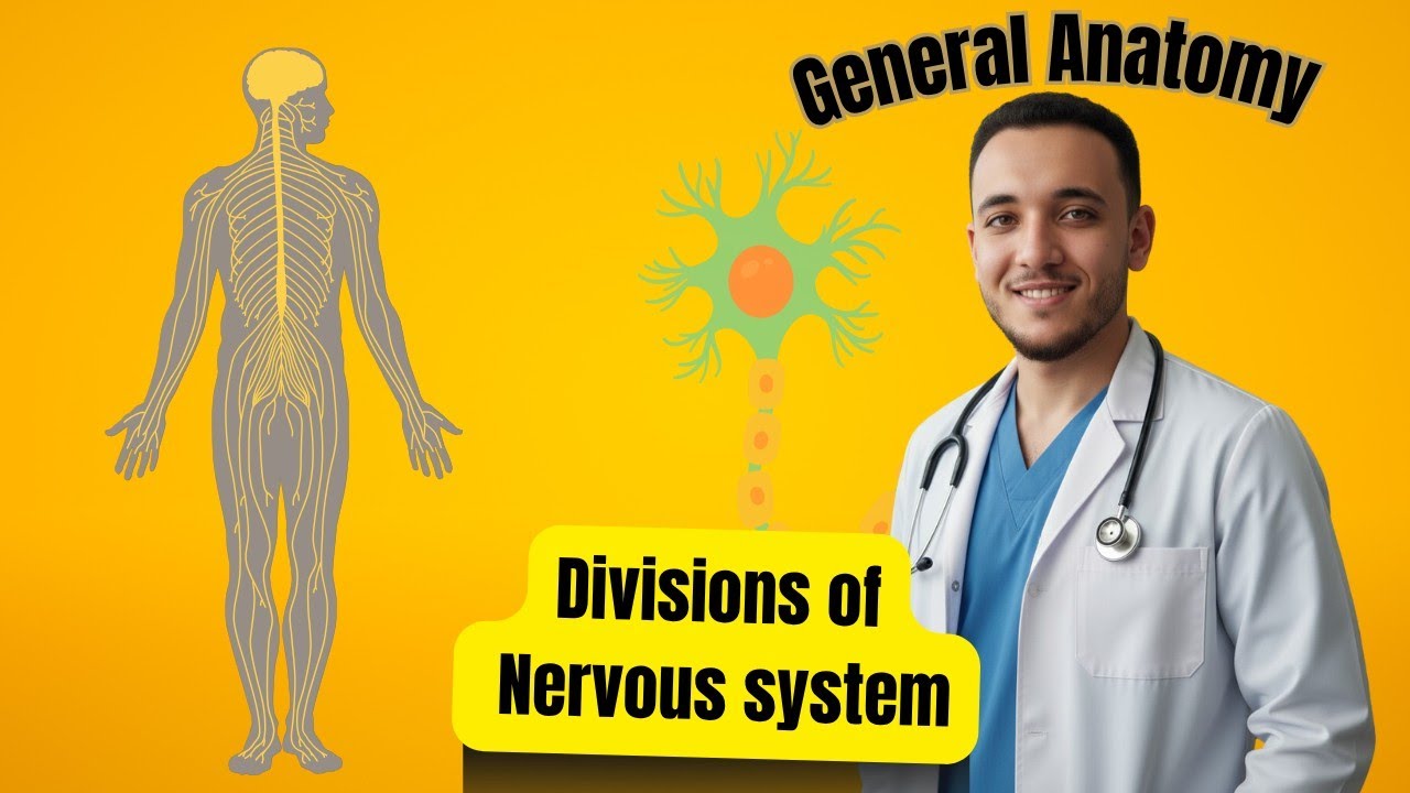 أقسام الجهاز العصبي _ General Anatomy | Division of Nervous system 