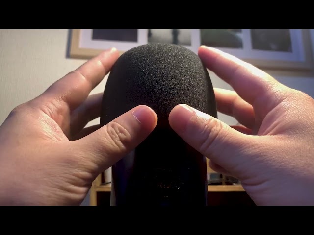 [ASMR] ささやきゾイゾイ