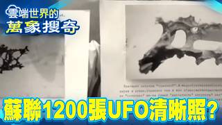 蘇聯30名童消失5分鐘 1200張UFO清晰照…穿越時空見恐龍？/天皇非人類？1946年官方宣言曝神秘身份【57怪奇物語】 @57StrangerThings