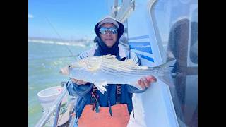 New Huck Finn Charter 06/07/2025