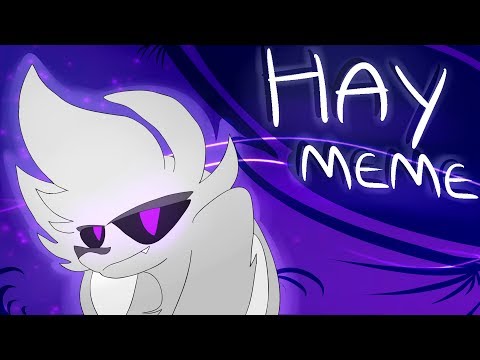 hay-//-animation-meme