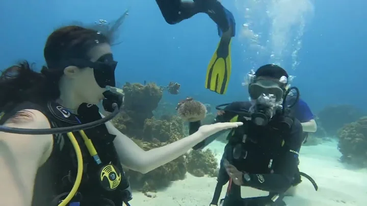 Are you for Scuba?!