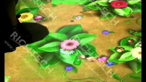 RichTech Popular Interactive Floor Effect - Garden Fun