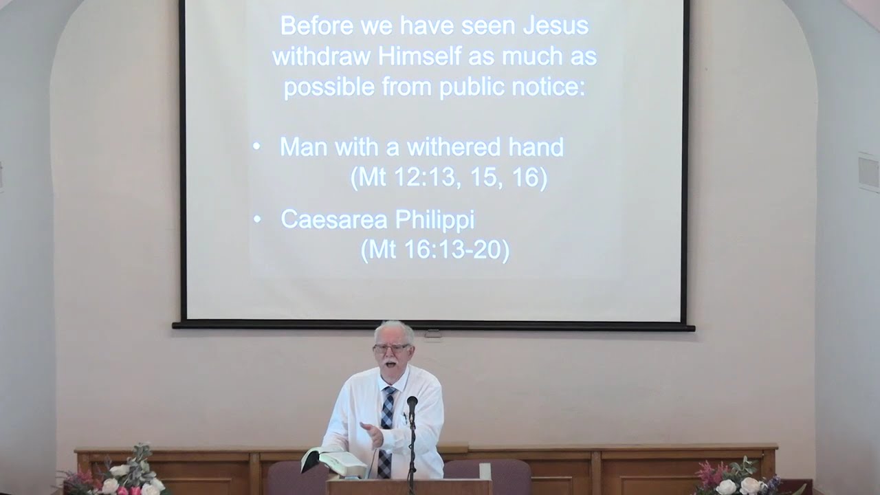 The Gospel of John: "We Wish to See Jesus" (John 12:12-19)