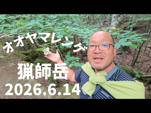 Mt. Ryoshi】Oyama Renge in 2026【June 14, 2026】 - YouTube