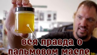 Вся правда о пальмовом масле ➤ Пальмовое масло - вред или польза ➤ Вся правда и мифы