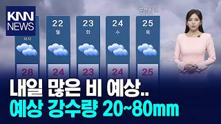 내일 많은 비 예상.. 예상 강수량 20~80mm / KNN