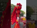 New Year Lion Dance Factory S Traditional Welcome