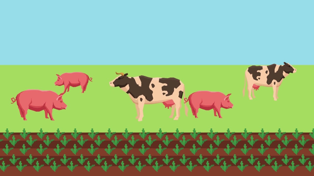 Drobnoustroje w systemie żywnościowym | MicrobiomeSupport