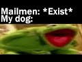 Memes My Dog Ate || Nightly Juicy Memes #157