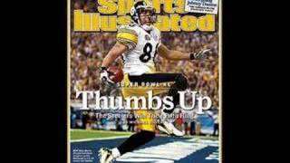 Tribute to Hines Ward and Troy Polumalu