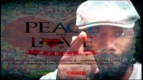 Ginjah - Carol Garden - Peace And Love Riddim - TJ Records - May 2014