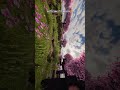 Minecraft Cherry Blossom: Use this audio test "Let's See If It Works" 🤗 #shorts #minecraftshorts