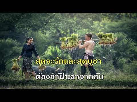 อย่ามาคิดถึงฉันเลย สมยศ ทัศนพันธ์   คาราโอเกะ เพลงลูกกรุง ชาย เพลงเอก The Golden Song Karaoke