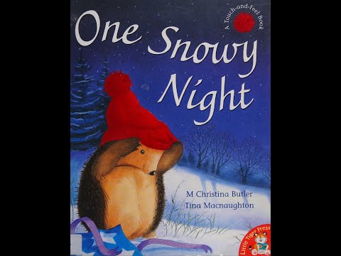 One Snowy Night