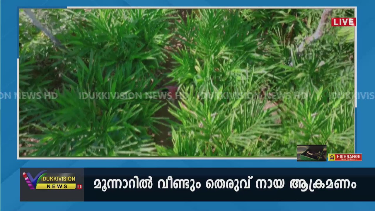 IDUKKIVISION NEWS @ 7 PM | LIVE | 27  FEB  2026