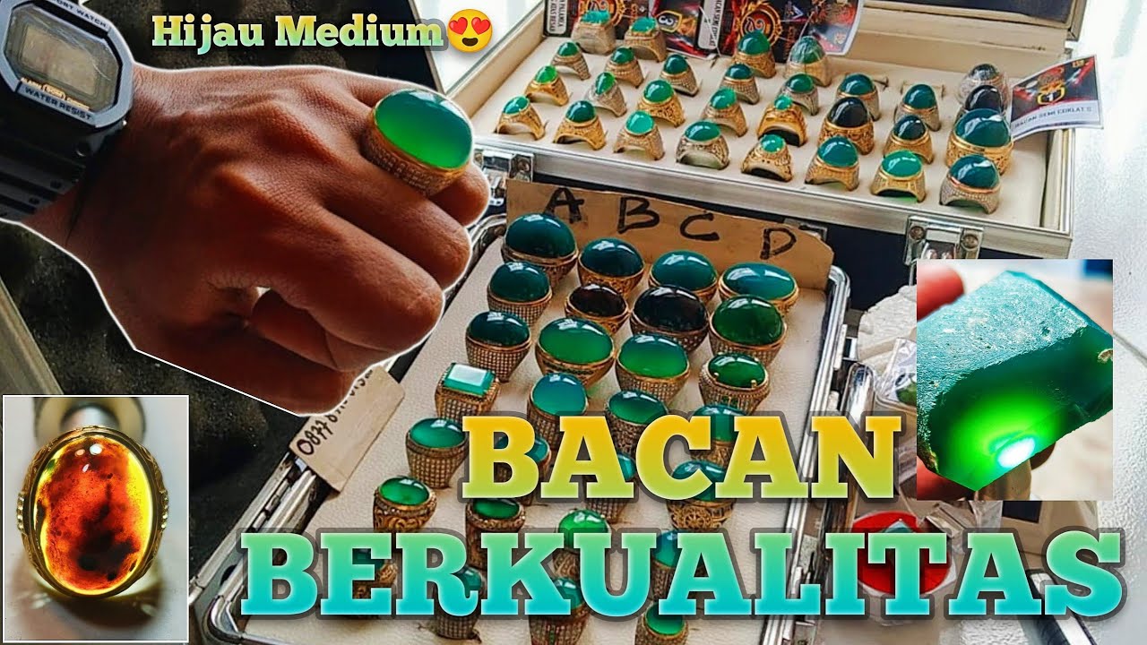 ADA GULAU SUPER LAWASAN !! Special Review Bacan Berkualitas Terbaru | Bacan terbaru 👑