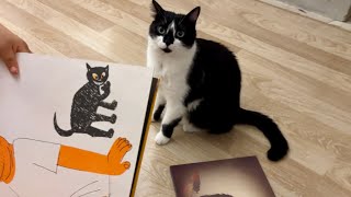 Cats interested in books📕 本が気になる猫姉妹 by Catz Club 1,733 views 2 months ago 2 minutes, 16 seconds