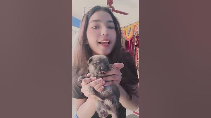 I Tested Viral Cute Puppy Hacks