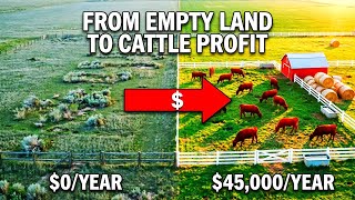 How To Start A Cow Farming Business With Almost No Money