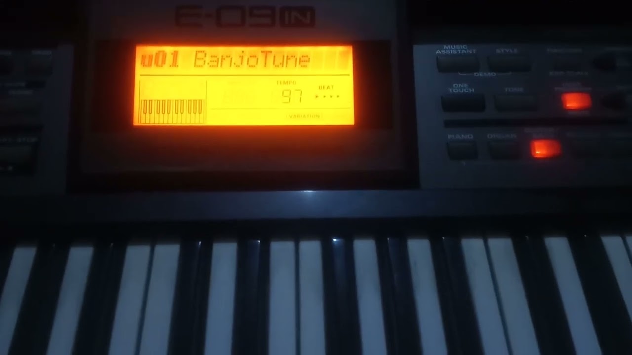 Roland E09 Banjo Tune Edit.2022.Benjo Tune Banana Seekhyen