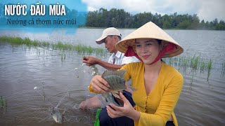 Nước đầu mùa, đi bắt cá rô phi nướng - Khói Lam Chiều #116 | Catching and Grilling Tilapias