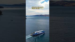 What to do at Bruny Island - our tips and tricks #vanlife #brunyisland #tasmania