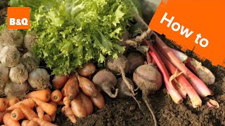 An introduction to growing your own fruit & veg