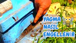 Zayif Ariyi Yağmadan Nasil Koruruz Yağma Nasil Engeleni̇r Ne Fayda