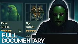 Dark Web: The Brutal Business of Wildlife Trafficking | FD Finance