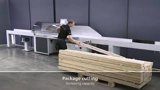 Weinig Dimter Unicut P Onderliggende Automatische Afkortzaag