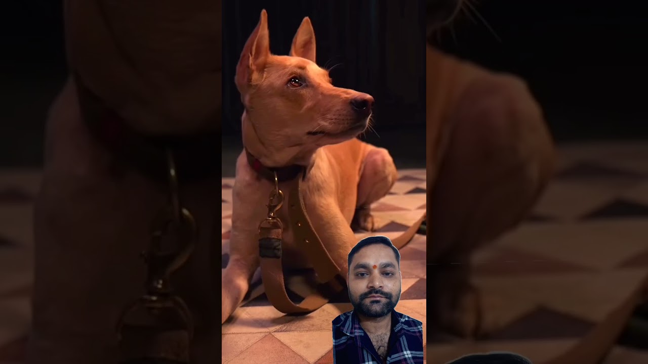 Hamans vs Dogs🐶😂I kuldeep singhaniaa 