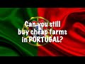 Moving to Portugal: Part 14 (Can you still find a cheap farm?)