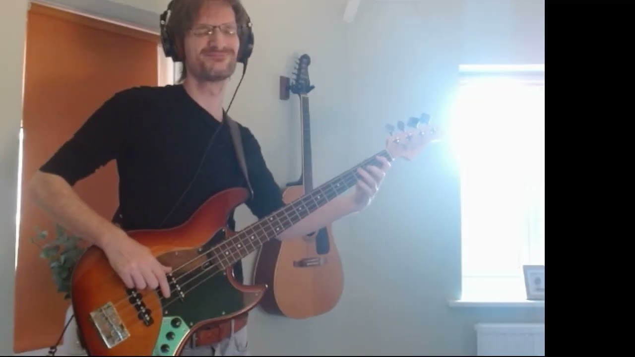 Wild cheetah - The Main Squeeze