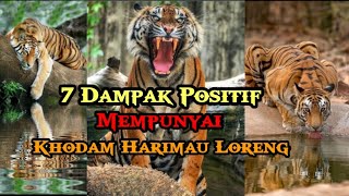 7 Dampak Positif, Mempunyai Khodam Harimau Loreng