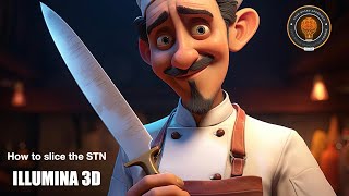 Preparing the STN for Illumina 3D: How to Slice the Target in Stimview
