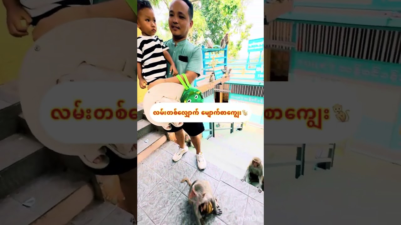 Mount. Popa! Feeding monkeys 🐒 🥰 