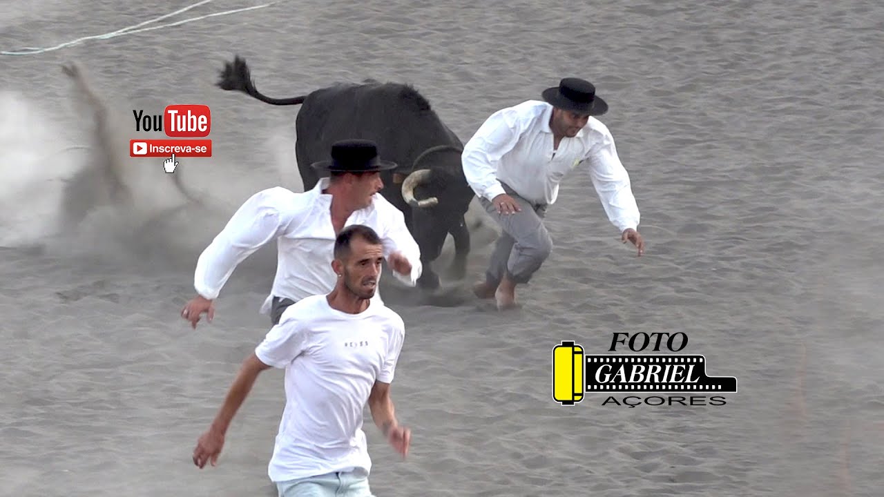 Tourada Areal da Praia da Vitória 10- 08- 2025 Ganadeiros MR- ALF- FP- OTT. Açores