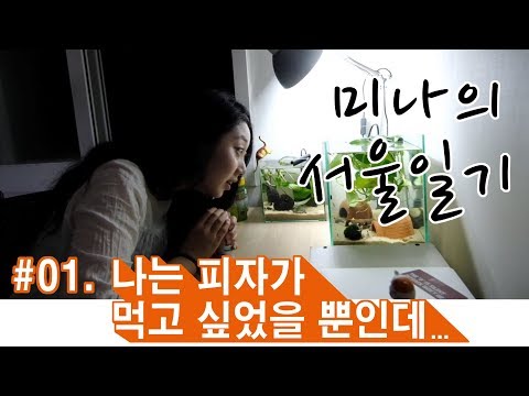 미나의 서울일기 #01. 난 피자가 먹고 싶었을 뿐인데 (I just wanted to eat a pizza)