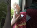 Mini Cute Fan