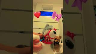 -**-piano in the sky!-**- #essa #douglas #dog #fyp #hehe #douglasdog #husky #woof:3