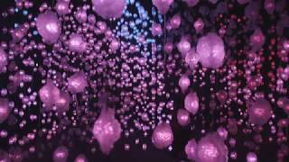 ピピロッティ・リスト (Pipilotti Rist.1962~)『Åbn min lysning (Open ピピロッティ・リスト (Pipilotti Rist.1962~)『Åbn min lysning (Open