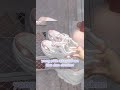 klian pilih atas atau bwh?🤩|#4u #subscribe #masukberanda #bismillahfyp