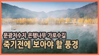 문광저수지 영상
