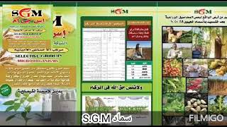 السماد الحيوي S.G.M ( اس جي إم ) الأول في مصر والعالم العربي