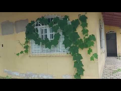 Casa abandona na Av  Gurino Giubeti em Linhares causa insegurança