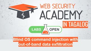 Blind OS command injection without-of-band data exfiltration | Portswigger Academy